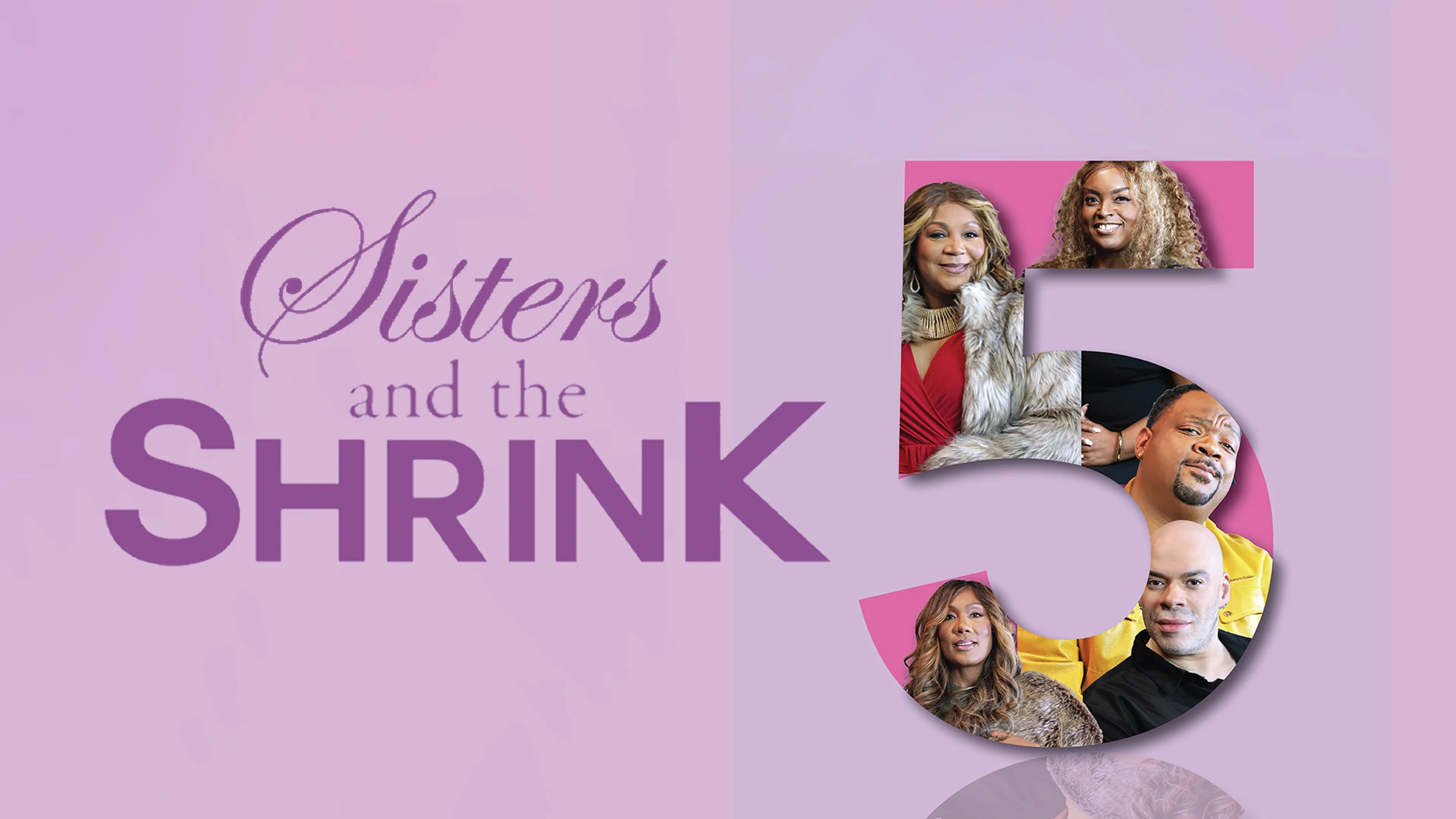 Sister and the Shrink 5 poster
